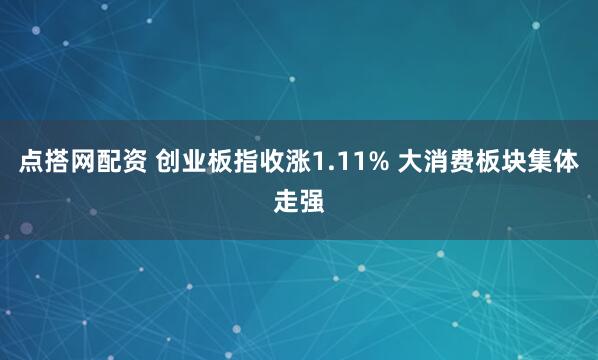 点搭网配资 创业板指收涨1.11% 大消费板块集体走强
