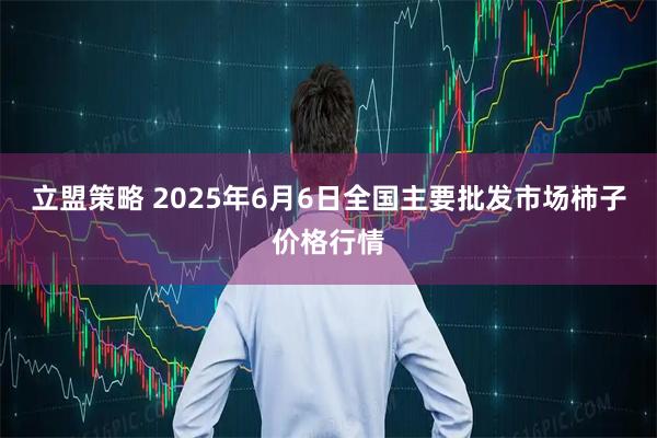 立盟策略 2025年6月6日全国主要批发市场柿子价格行情