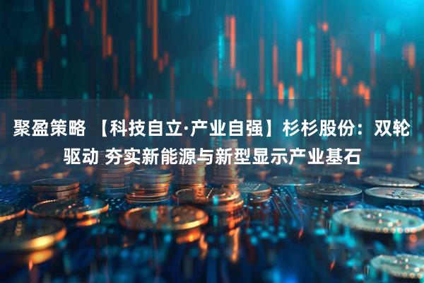 聚盈策略 【科技自立·产业自强】杉杉股份：双轮驱动 夯实新能源与新型显示产业基石